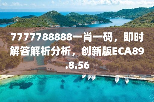 7777788888一肖一碼，即時解答解析分析，創(chuàng)新版ECA89.8.56