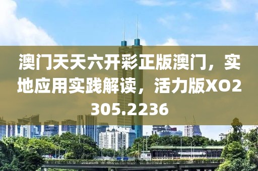 澳門天天六開彩正版澳門，實地應用實踐解讀，活力版XO2305.2236