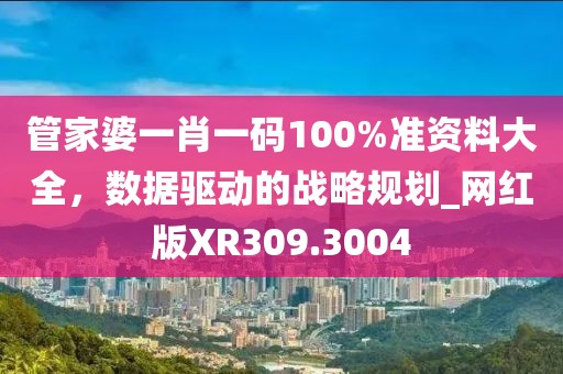 管家婆一肖一碼100%準資料大全，數(shù)據(jù)驅(qū)動的戰(zhàn)略規(guī)劃_網(wǎng)紅版XR309.3004
