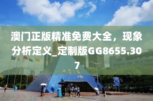 澳門正版精準(zhǔn)免費(fèi)大全，現(xiàn)象分析定義_定制版GG8655.307