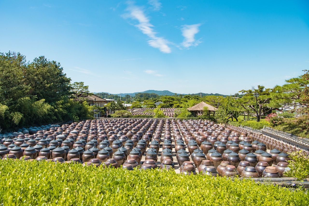 探索現(xiàn)代農(nóng)業(yè)種植新模式，最新農(nóng)業(yè)種植項(xiàng)目案例分享