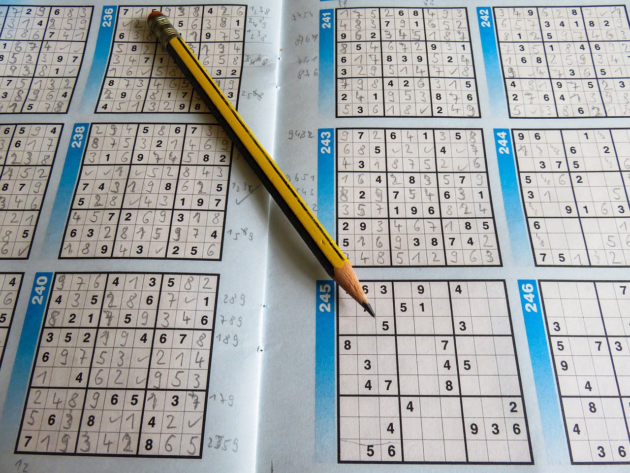 奧門開獎結(jié)果+開獎記錄2024年資料網(wǎng)站，高效實施解答策略_家用型OQ8035.8692